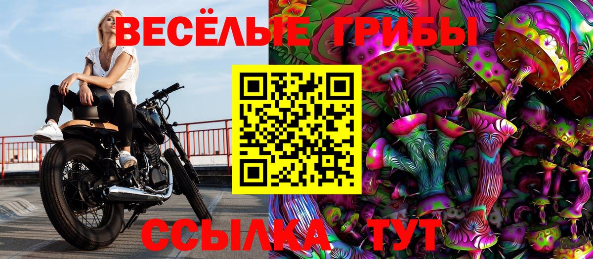 Белово  Псилоцибиновые грибы Magic Shrooms  Вход с VPN 