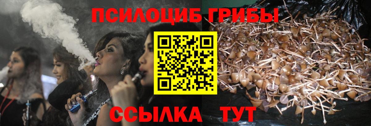 Галлюциногенные грибы Cubensis Белово